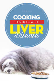 how to feed dogs with liver disease
