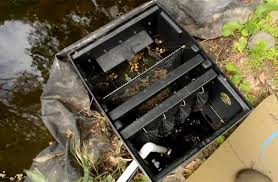 Maybe you would like to learn more about one of these? 11 Cara Membersihkan Air Kolam Ikan Keruh Dengan Mudah Pintarpet