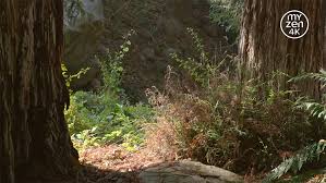 Hotbird dish setting with the help of mobile and tiger t3000 extra and cheking 4k channel on forever server and many more. Trzy Kanaly W Jakosci 4k Dostepne Za Darmo Fta Na Satelicie Hot Bird Jakie Parametry Odbioru