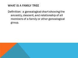 my family tree what is a family tree definition a