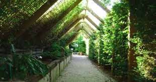 Jardin Botanique De Marnay Sur Seine Marnay Sur Seine 10400 Aube Alsace Champagne Ardenne Lorraine France Plants Tree Tree Trunk