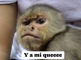 Mi esposo: Vengo bien cansado y con hambre. Yo bien estresada del quehacer,  la comida y los niños.