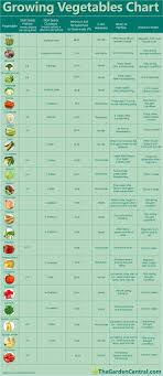 Alternative Gardning Growing Vegetables Chart Growing