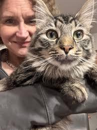 Hey Luvs! I just wanted to introduce myself, I am a newbie to 🥾!