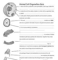 Animal cells are of various sizes and have irregular shapes. Animal Worksheet New 409 Animal Cell Quiz Worksheet