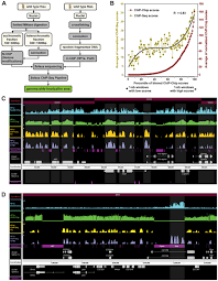 Lets say, hypothetically, a peak caller finds differential sites at gene a for both of those histone modifications. A High Resolution Whole Genome Map Of Key Chromatin Modifications In The Adult Drosophila Melanogaster