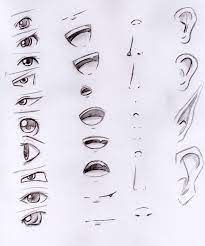 Eyes , Nose , Ears & Mouth | Anime Drawings Tutorials, Nose Drawing, Drawing  Tips