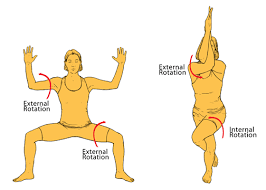 The coronal plane divides the body into front and back. Your Body Your Yoga Part 3 A Yin Yoga