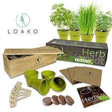 Nature S Blossom Herb Garden Seed Starter Kit Grow 4 Kitchen Herbs From Seeds Basil Cilantro Parsley Thyme Herb Garden Kit Herb Growing Kits Garden Kits