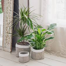 Concrete Planters | Graham & Green