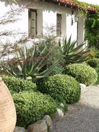 If you are lucky enough to have established palm trees in your yard, this will save you money and give you landscaping features to plan your design around. Ca Friendly Design Ideas Roger S Gardens