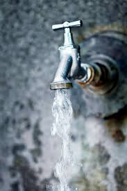 Check spelling or type a new query. Drain Your Home S Plumbing System For A Major Repair Meticulous Plumbing