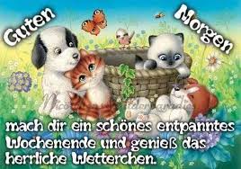 Lustige videos fürs wochenende guten morgen gruss guten morgen whatsapp video ribhot v2. Guten Tag Videos Bilder Und Spruche Fur Whatsapp Und Facebook Kostenlos