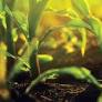 EU and France Implement New Agricultural Chemical Regulations and Environmental Directives