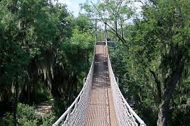 Santa ana national wildlife refuge is 7.5 miles south of the city of alamo, hidalgo co., tx. Day Trips Santa Ana National Wildlife Refuge Old Growth Forest Survives On The Rio Grande Columns The Austin Chronicle