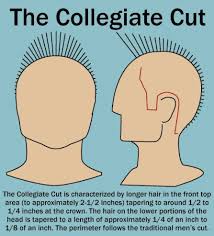 Scalp hair is known to grow between 0.6cm and 3.36cm per month. Cool Barbershop Picture Of Ivy League Haircut
