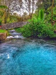 La Espumita Uruapan Mich Uruapan Espuma