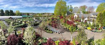 Ballek's garden center sells herbs, shrubs, and trees to allow you to add texture and varied bloom times to your garden so it is stunning in all three seasons. Best New England Nurseries Garden Centers New England Today
