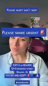 Animal Shelters Newark Nj