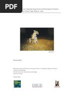 Image result for Sclerochiton obtusisepalus