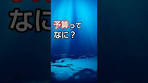 予算って何？ニュースで出てくる意味をやさしく整理