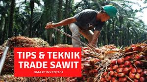 Kebutuhan harian rumah tangga mungkin belum bisa tercukupi secara sempurna apabila hanya mengandalkan gaji saja. 10 Cara Tambah Pendapatan Suri Rumah 2021 Smartinvest101