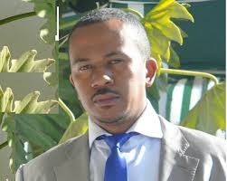 Image result for Pauridiantha paucinervis