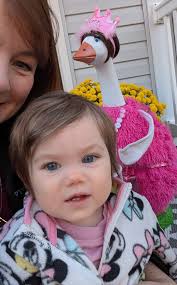 My wife Megan Hamilton-Keyser told me about this goose thing yesterday and  for the past 24 hours I was