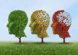 Dementia is not a specific disease but is rather a general term for the impaired ability to remember, think, or make decisions that interferes with doing everyday activities. Global Dementia Cases Forecasted To Triple By 2050 To More Than 152 Million