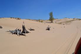 Maybe you would like to learn more about one of these? Riding The Dunes In Silver Lake White Man S Wife