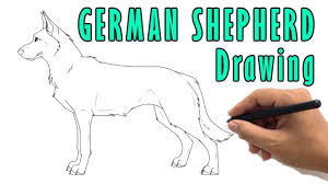 Maybe you would like to learn more about one of these? How To Draw A Husky Drawing Easy Cute Siberian Husky Sketch Step By Step Youtube