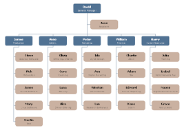 Free Middle Size It Company Org Chart Template