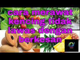 Untuk atasi alahan ini, gunakan air basuhan beras. Petua Cara Merawat Kencing Tidak Lawas Kencing Dedas Youtube