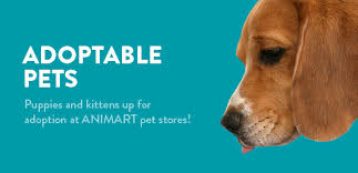 Uniqueness and high quality guaranteed or money back. Animart Pet Stores Inc
