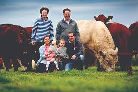 Undisputed weight for age