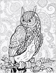 Mandala zum ausmalen mandala pinterest. Google Ausmalbilder Delphin Wallpaper Page Of 1 Images Free Download Google Ausmalbilder Brwalstars Colett