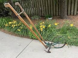 Seeder for the upcoming season. M9bogwnkdhw9hm