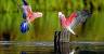 Ultra Hd 4k Resolution Uhd Ultra Hd 3d Wallpaper For Mobiles