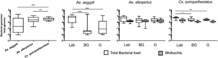 Frontiers Microbiome Interaction Networks And Community