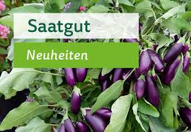 Egal ob im garten oder als zimmerpflanze im haus und in der wohnung, ausgepflanzt im beet oder in einem kübel gehalten. Neuheiten 2020 Gartner Potschke