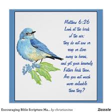 Birds Of The Air Bible Verse Encouraging Bible Scripture Matthew Bluebird Poster Zazzle Com Bible Encouragement Encouraging Bible Scriptures Bible Scriptures