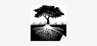 Silhouette of a tree with big root svg clip art. Thick Tree Roots Silhouette Free Transparent Png Download Pngkey