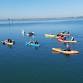 Wildlife Kayaking Eco-Tour event image