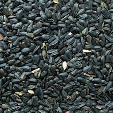 Birds Of A Feather Black Oil Sunflower Black Oil Sunflower Seeds Black Oil Bird Feathers