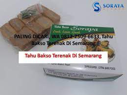 Pasti Dinanti Tahu Bakso Murah Di Semarang Tahu Bakso Murni Tahu Bakso Maknyus Tahu Bakso Murni Semarang Tahu Bakso New Citra Semarang Tahu Semarang Ikan