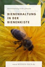 Die Bienenkiste Weidenzaun Bienenkiste Bienenhaltung Kiste