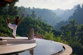 In reality, getting your first health insurance plan does not have to be daunting. Best Features Of Health And Wellness Retreat Bali Viceroy Bali Blog Top 3