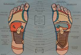 Foot Reflex Points Foot Reflexology Gold Coast Holistic