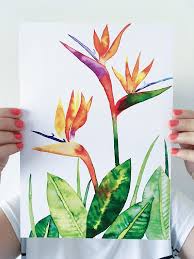 Abstract Bird Of Paradise Watercolor Strelicia Watercolor Painting Handmade Aquarelle Jungle Tropic Colorful Diy Art In 2020 Flower Art Painting Tropical Painting Flower Painting
