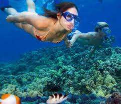Puerto Vallarta Scuba Diving
